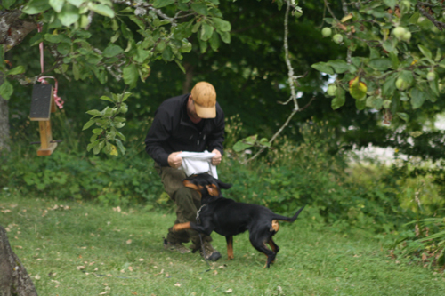 halsning och lek husse
